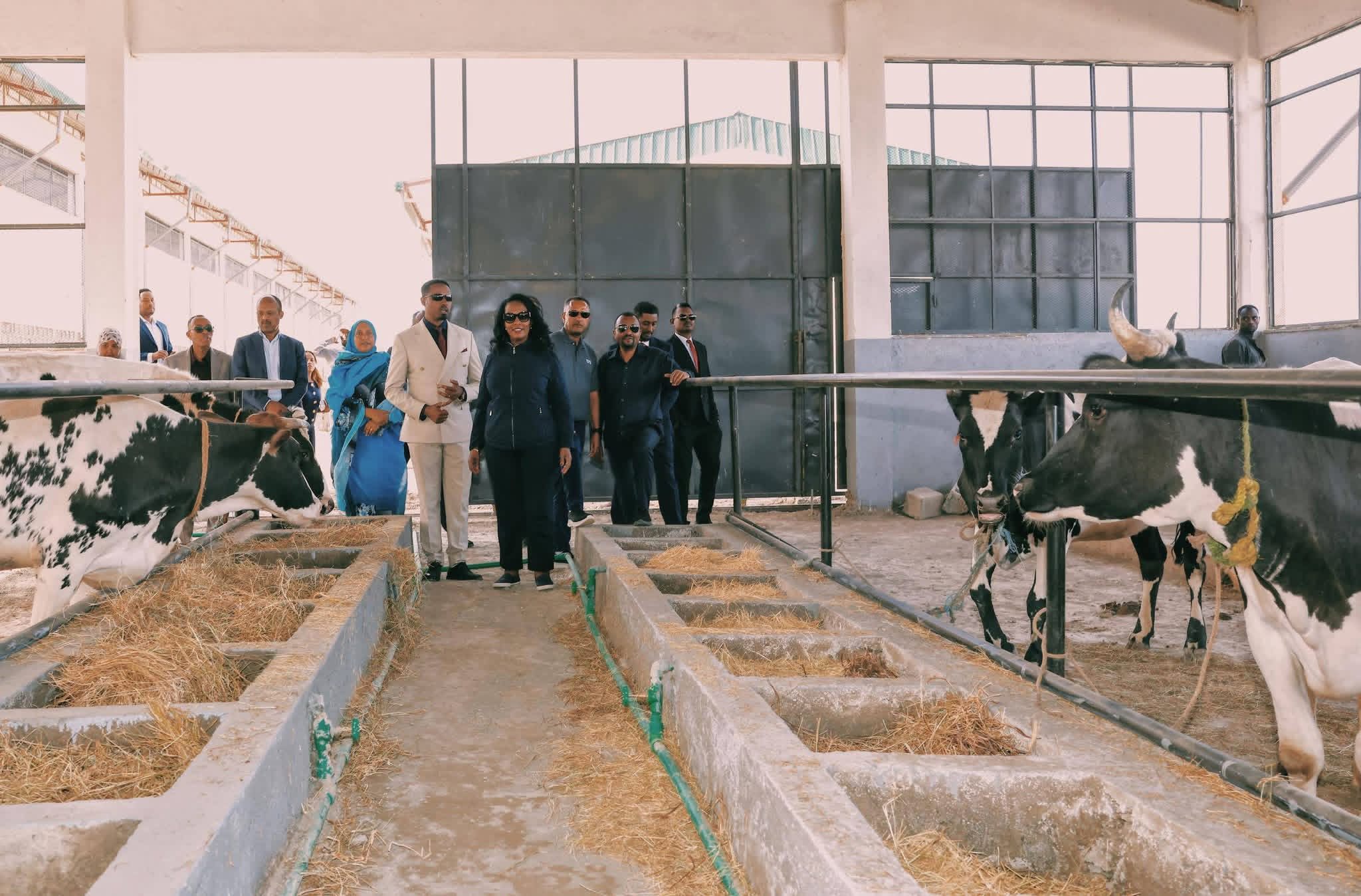 የተቀናጀ የከተማ ግብርና ማዕከል