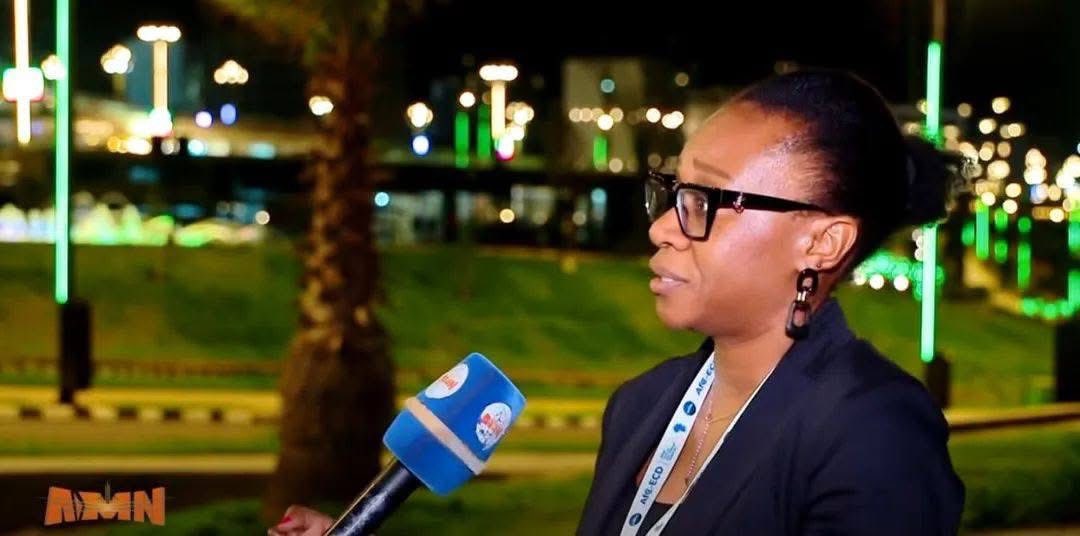 አዲስ አበባ የአፍሪካውያን የልማት አርአያነቷን እያረጋገጠች ነው- የ ቀዳማይ ልጅነት ዓለም አቀፍ ጉባኤ ታዳሚዎች
